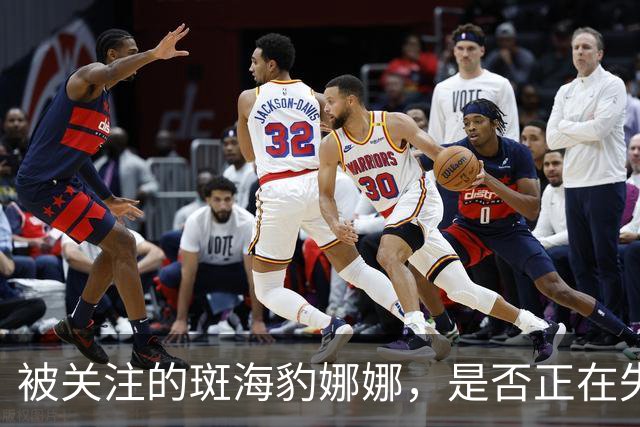 被关注的斑海豹娜娜，是否正在失去自由与野性？